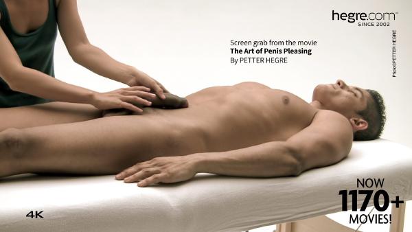 Skjágrip #3 úr kvikmyndinni The Art Of Penis Pleasing